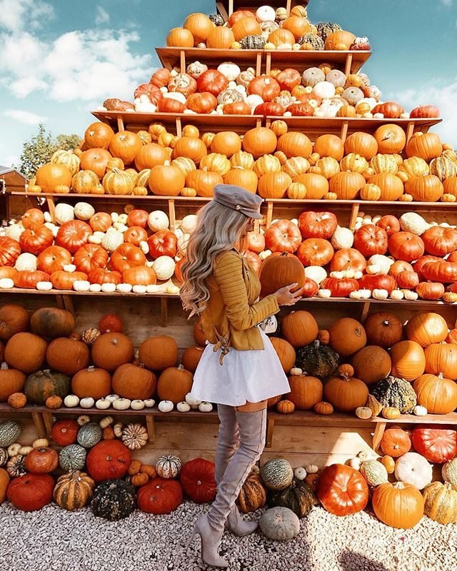 fall outfit with skirt