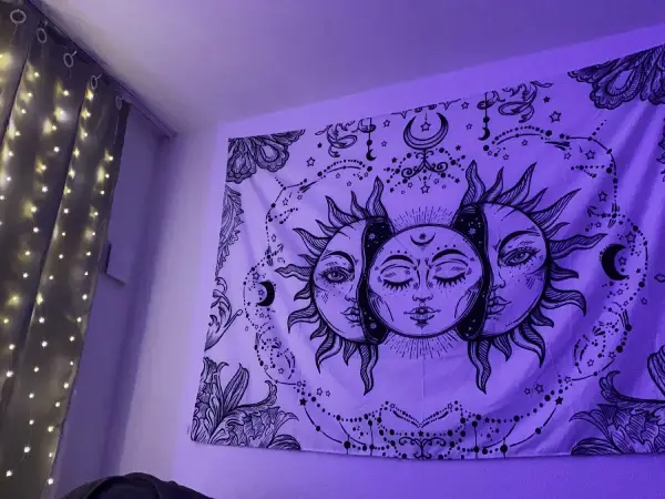 Room decor tapestries