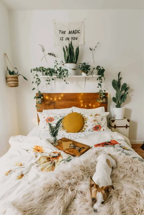 Boho Dorm Room Ideas with plants