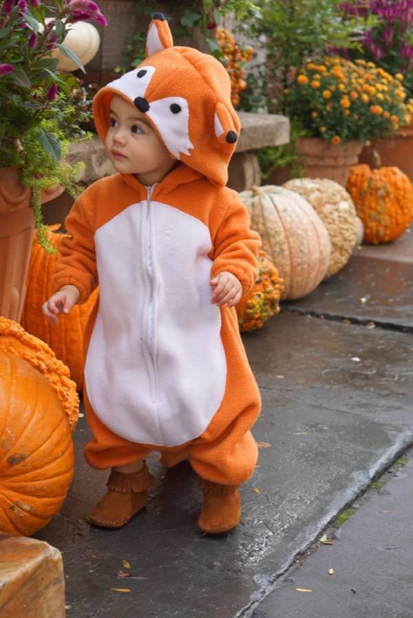 Fox Costume for Baby Toddler