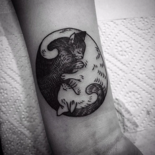 Black and White Cat Yin Yang Arm Design Tattoo Idea