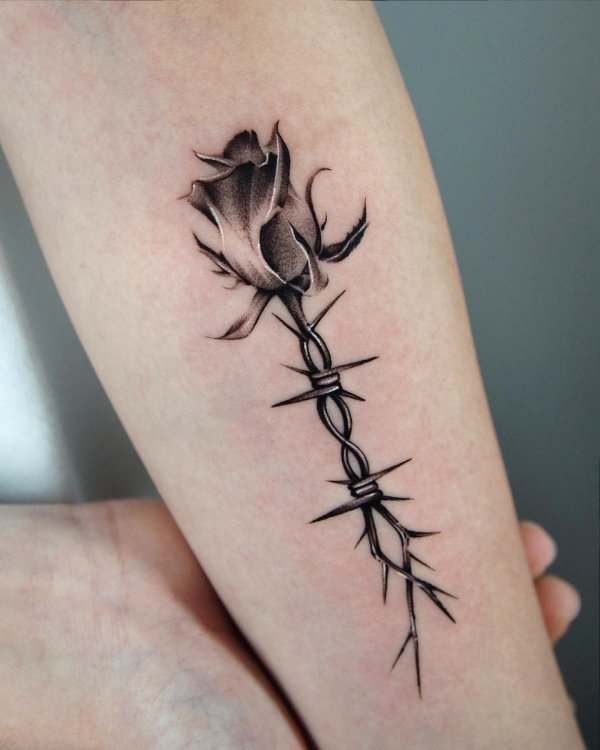 Rose tattoo deisgns, Rose comes with Thorns, beautiful but dangerous