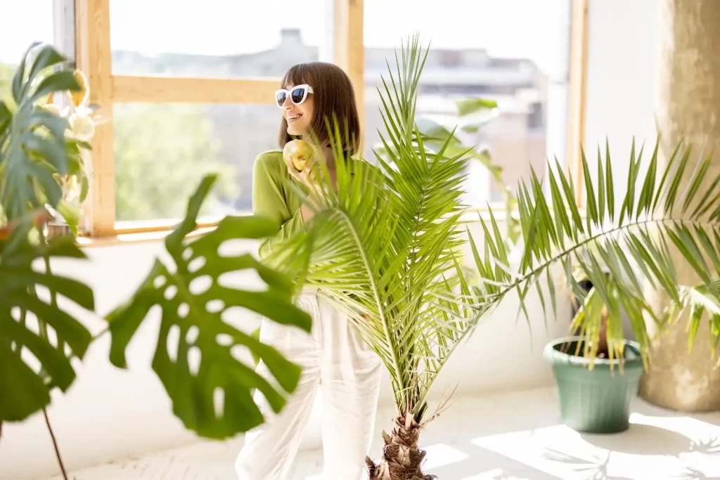 Popular Ways Indoor Houseplants CanElevate Your Interior