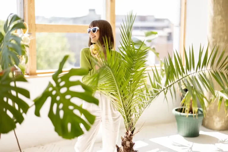 3 Popular Ways Indoor Houseplants Can Elevate Your Interior