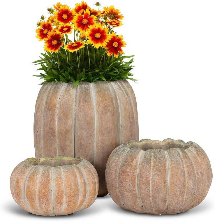 Large Low Cement Pumpkin Indoor and Outdoor Planter Pot