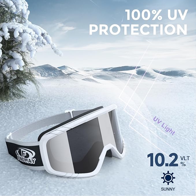 Ski Goggles, snowSnowboard Goggles