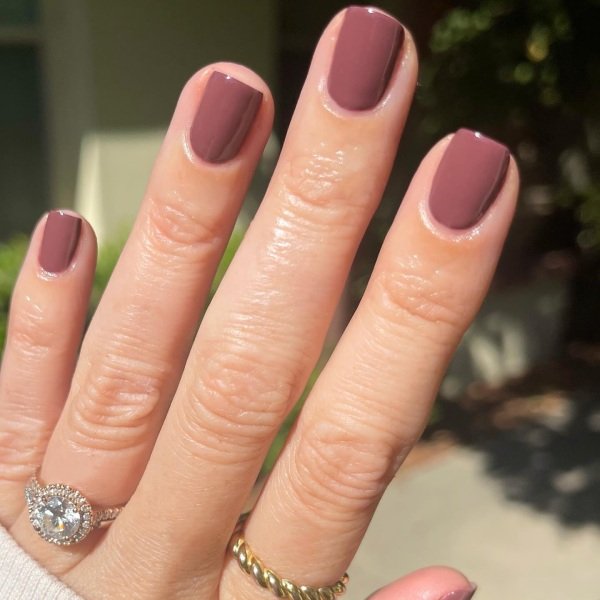 Brown Simple Fall Nails