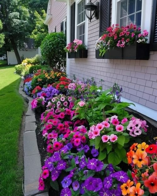 widow box plants with colorful flowers